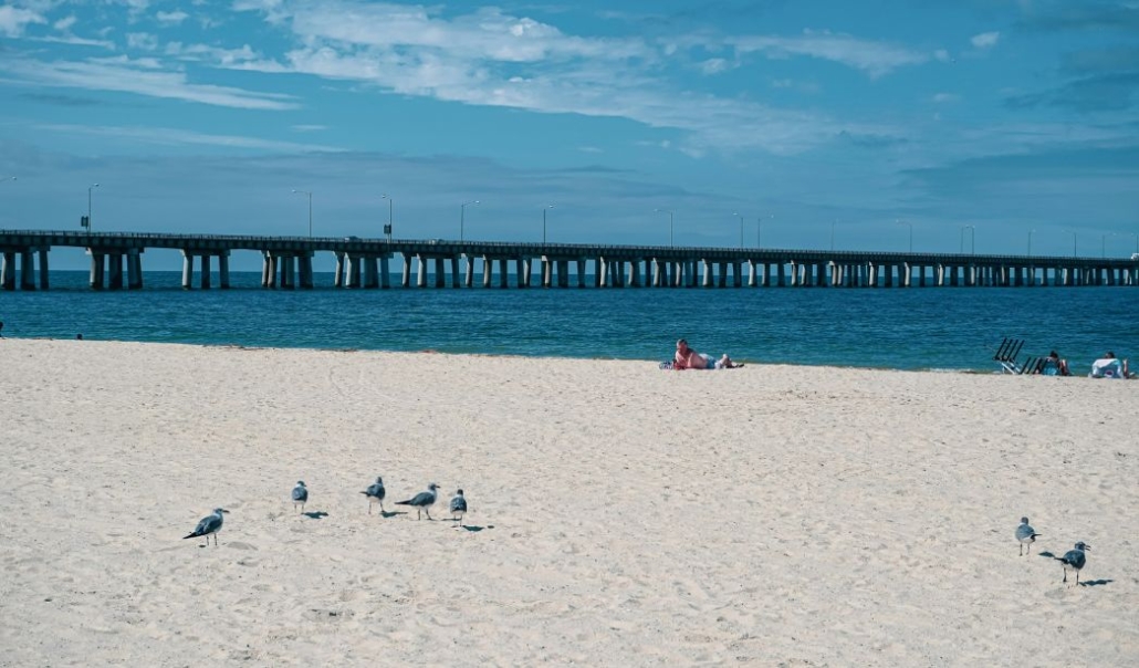 A picturesque view of Virginia Beach, highlighting birds on the sand and a bridge elegantly positioned in the background.