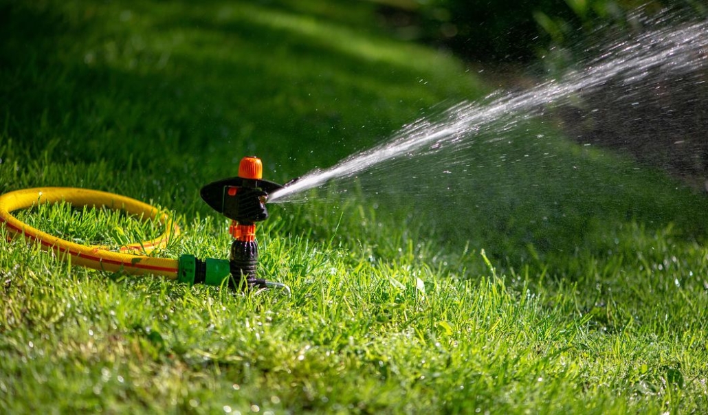 A sprinkler system sprays water over a lush green lawn, ensuring healthy growth and vibrant color.