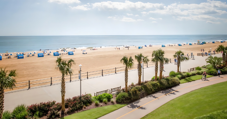 Virginia Beach showcases a picturesque beach with palm trees and a welcoming walkway, highlighting its coastal charm.