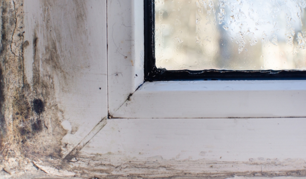 A white-framed window with visible dirt and grime, indicating potential mold or mildew around the frame.