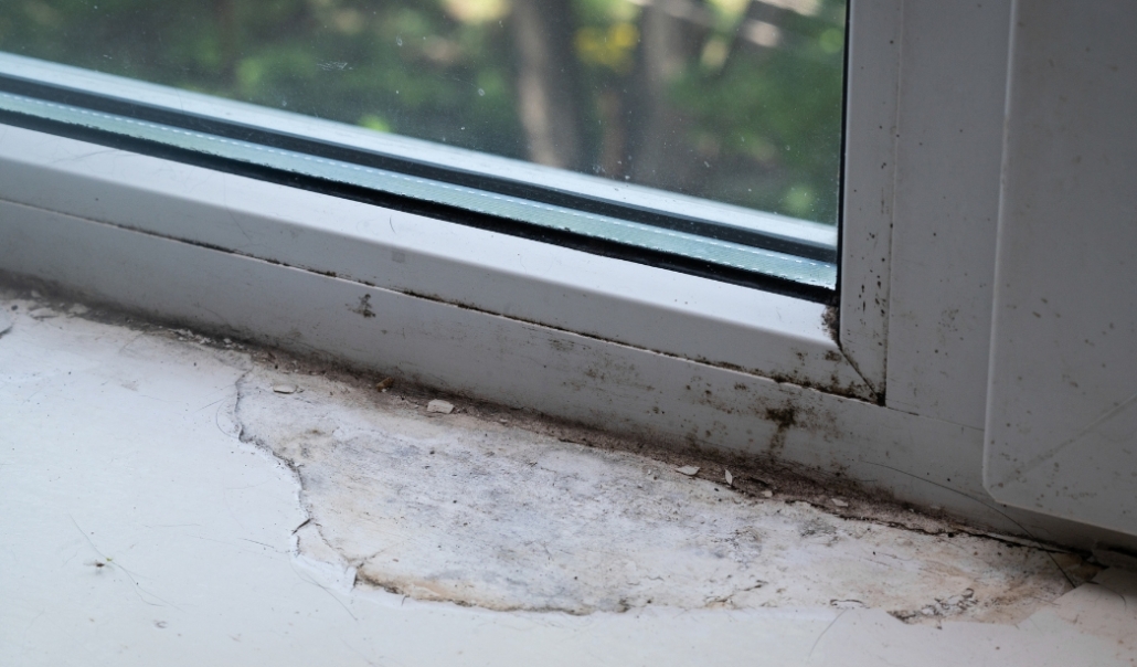 A cracked window with a damaged sill, illustrating signs of potential rotting or warping in window frames.