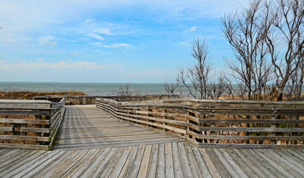 A wooden boardwalk extends towards the sandy beach and ocean at First Landing State Park, Virginia Beach.