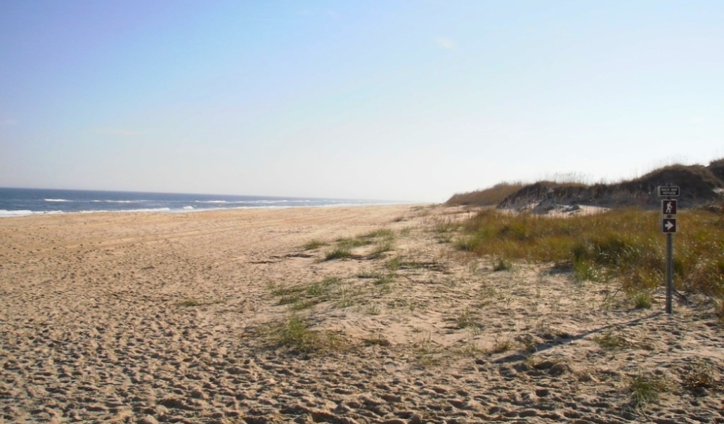 Sandy beach with grass and a sign for Virginia Beach Attractions at Back Bay National Wildlife Refuge.